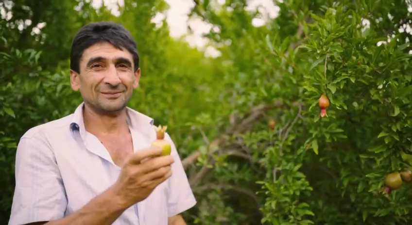 Gevorkian Winery — Brand Short Film — still 1